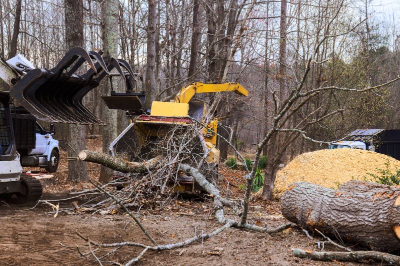 Dogwood Tree Removal in Duluth, MN