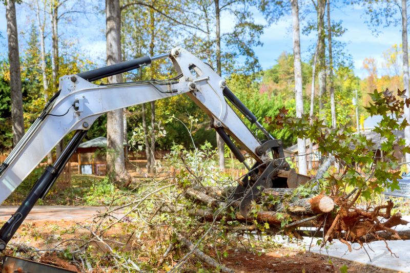 Easement Land Clearing in Cumming, GA