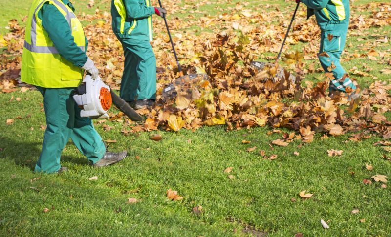 Community Leaf Clearing