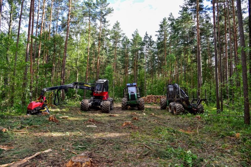 Farm Clearing in Gwinnett County, GA