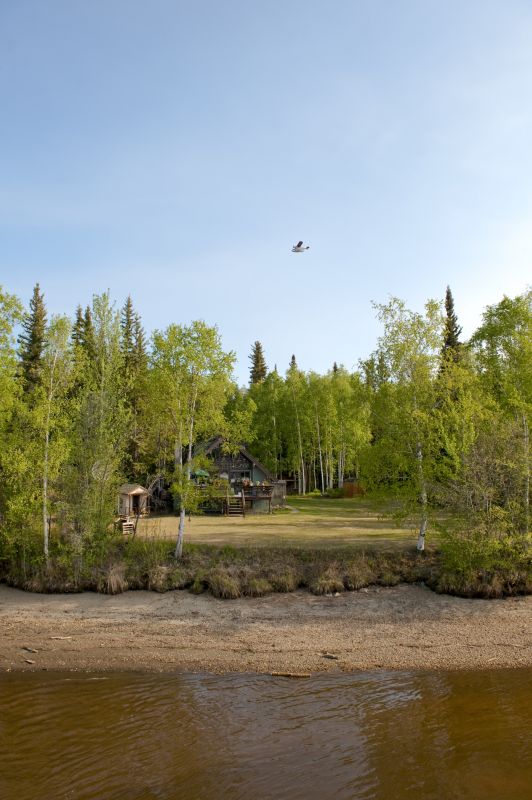 Ground Clearing in Houston, TX