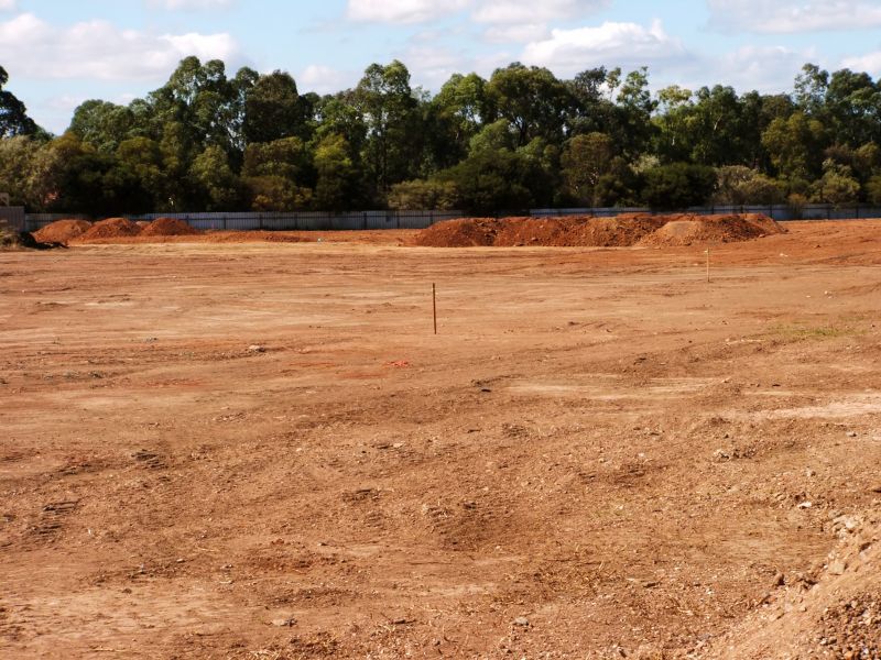 Land Clearing in Gwinnett County, GA