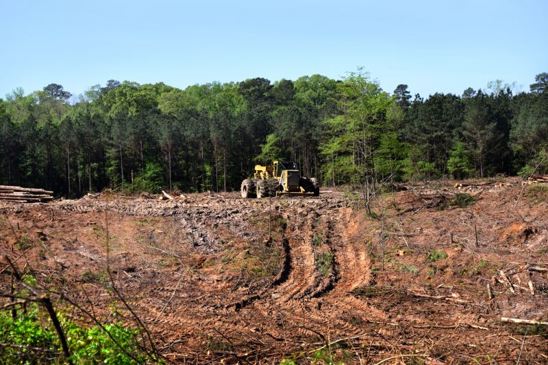 Pool Land Clearing in Gwinnett County, GA