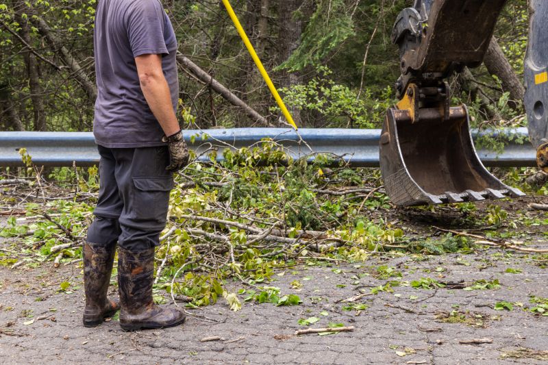 Site Clearing Service in Katy, TX