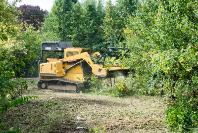 Terrain Clearing in Katy, TX