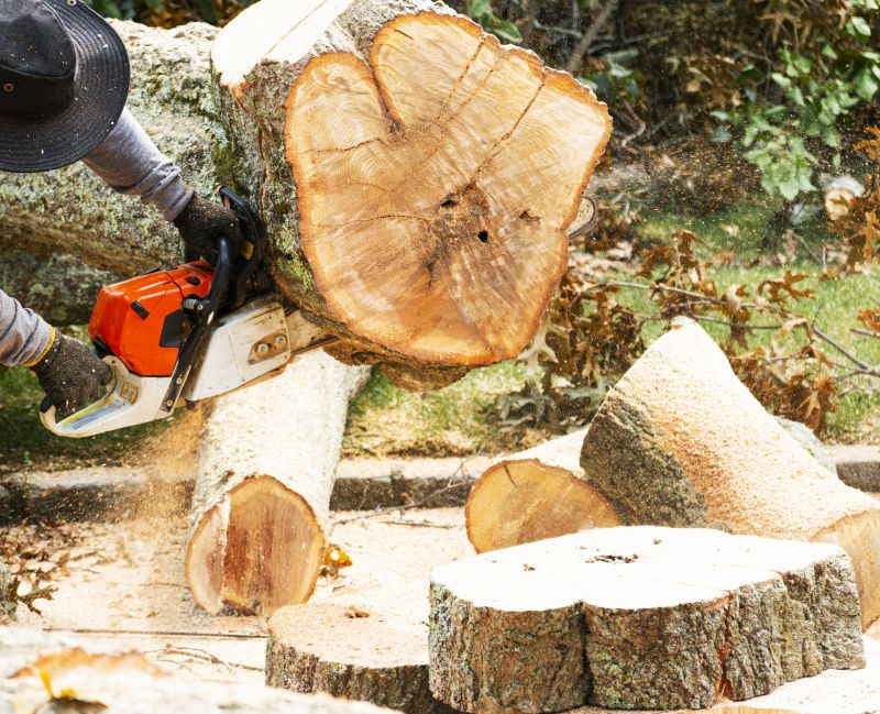 Tree Removal Service in Montgomery County, PA